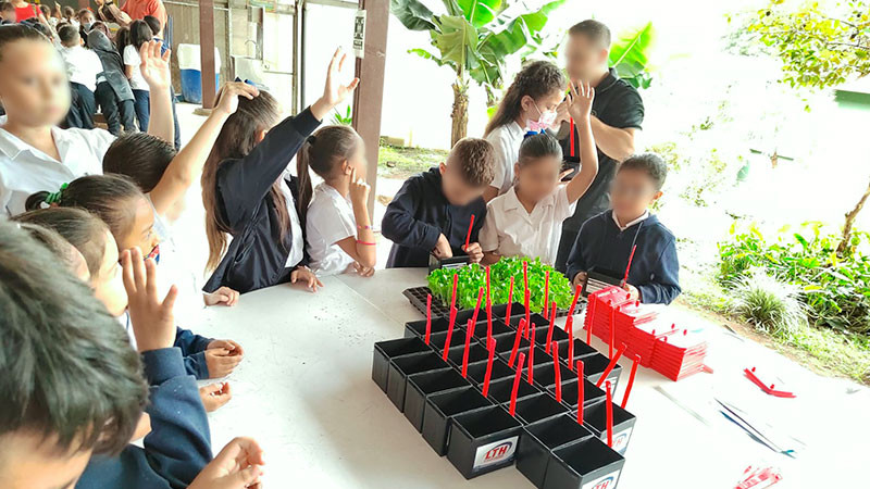 Educación ambiental desde la infancia: clave para el futuro del planeta 