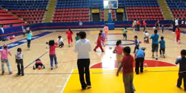 Ofrecerá UMSNH actividades deportivas para niños, jóvenes y adultos este verano - Foto 1 