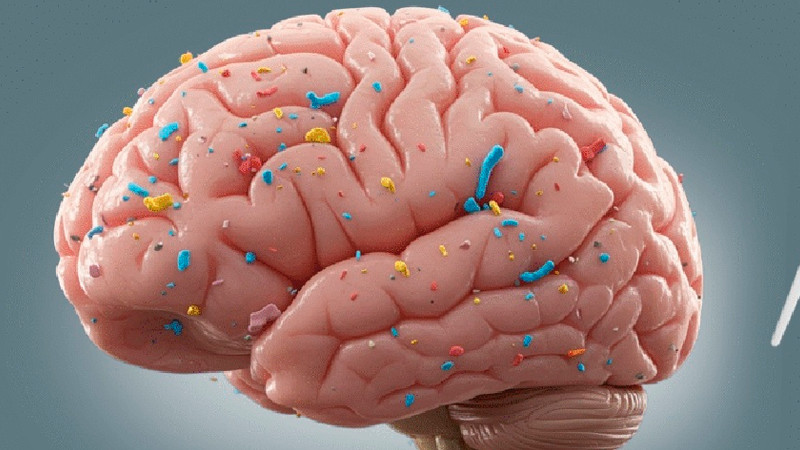 Cerebros humanos tienen microplásticos que dañan la salud mental 