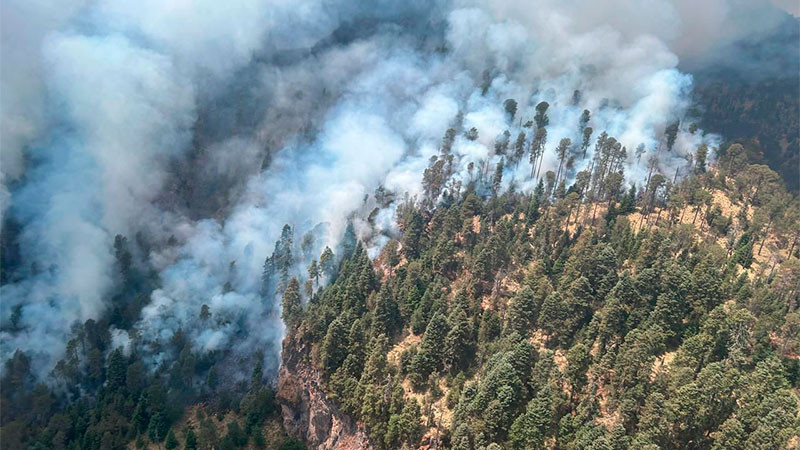  Por aire y tierra Gobierno de Michoacán combate incendio en el Pico de Tancítaro 