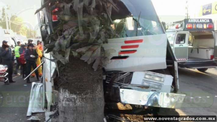 Un camión se estrella contra un árbol en Morelia; hay cinco lesionados - Foto 0 