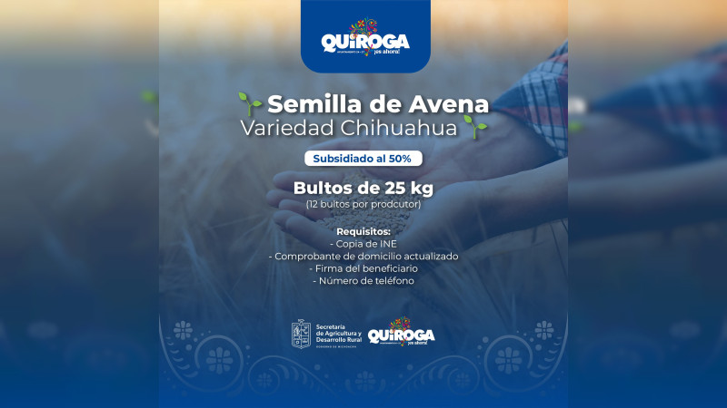 Impulsa Gobierno de Quiroga al campo con semilla de avena subsidiada