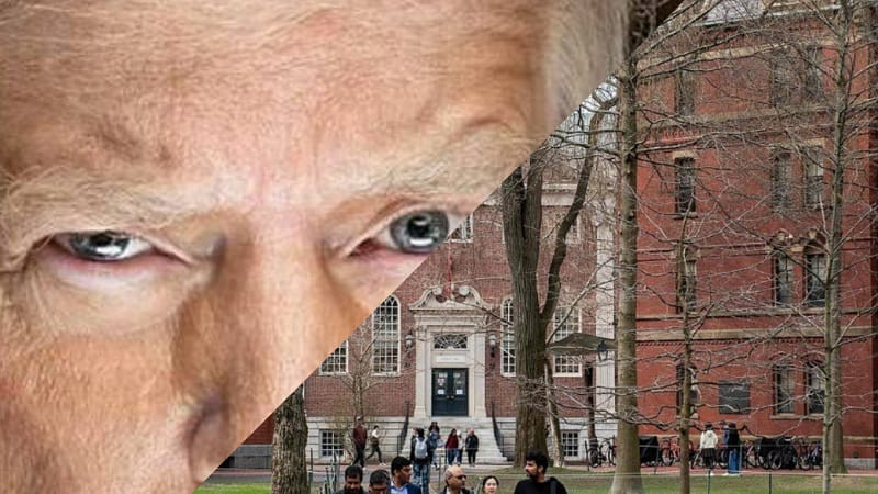 Harvard demanda a la Administración Trump por prohibir matriculación de estudiantes extranjeros 