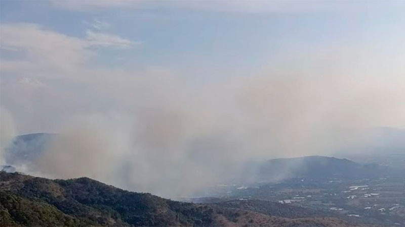 Evacuan a 80 personas por incendio forestal en Actopan y El Arenal, Hidalgo 