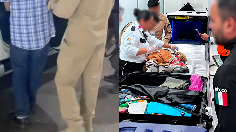 Profepa segura más de 200 reptiles en AICM 