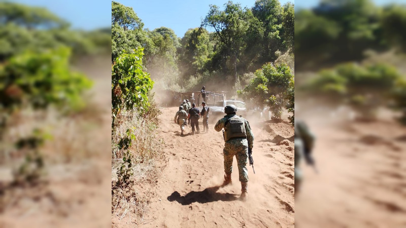 Localizan cuatro cuerpos más en cerro de El Olivo, Michoacán; suman seis en menos de 48 horas, tras choques armados 