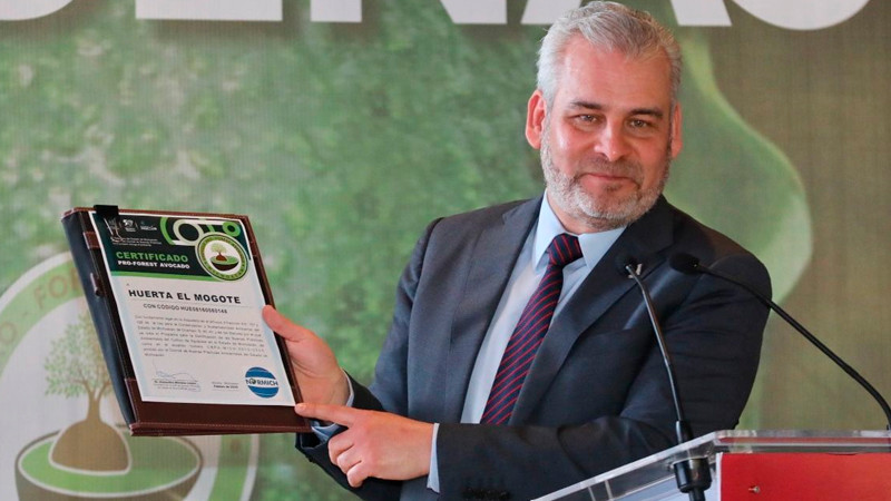 Certificado con Proforest Avocado, el 67 % del aguacate exportado a EUA: Bedolla 