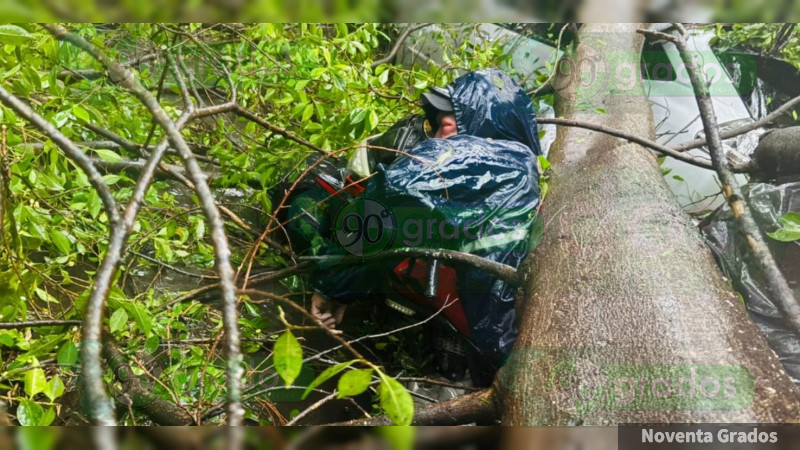 Muere repartidor tras ser aplastado por un árbol en Zamora, Michoacán 