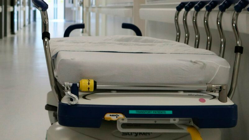 Se registran 6 casos de miasis en humanos por gusano barrenador en México 