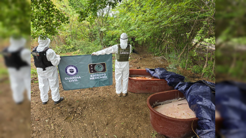 Asestan golpe de 46 millones al crimen: Aseguran 400 kilos de estupefaciente en Buenavista, Michoacán; siguen operativos por homicidio de 8 Fuerzas Especiales 