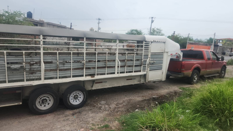 Aseguran 21 venados de procedencia ilícita en Vista Hermosa, Michoacán; hay 3 detenidos