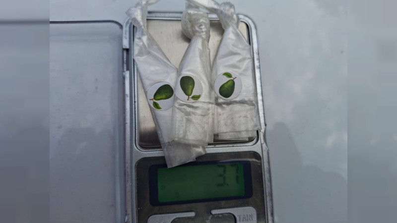 En Pátzcuaro, Michoacán detienen a sujeto en posesión de drogas
