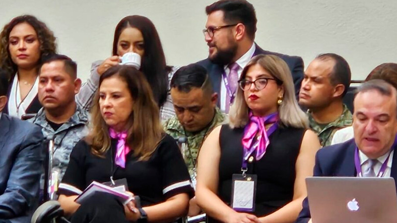 Militares presentes en Consejo General del INE fueron invitados por Taddei, indica Sheinbaum 