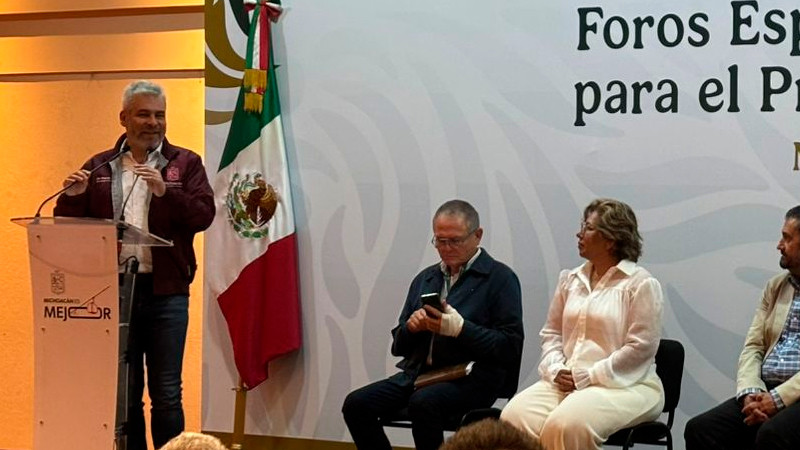 Busca Bedolla presentar mil denuncias forestales este año 