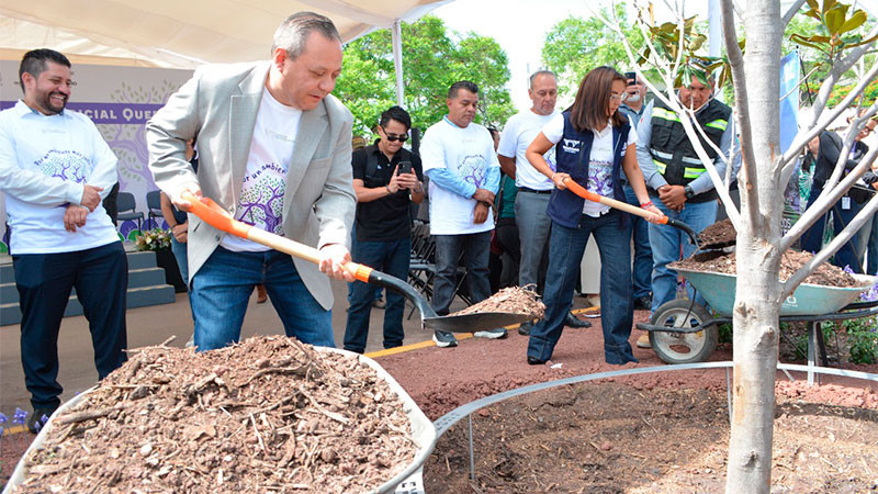 Realizan integrantes del Poder Judicial de Querétaro una jornada de reforestación  