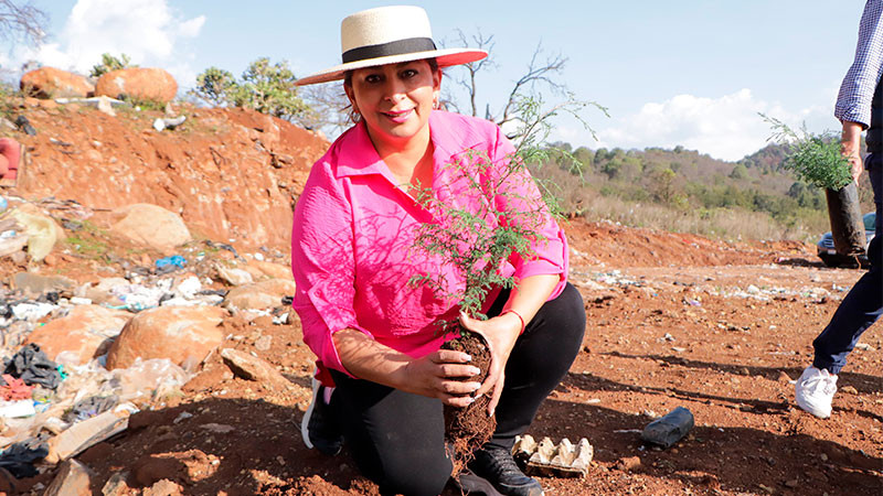 Gobierno de Quiroga plantó más de 500 árboles en el Día Mundial del Medio Ambiente 
