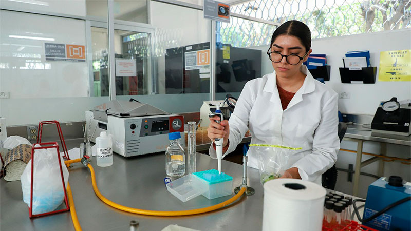 Alcanza UAQ la acreditación ISO/IEC 17025 en el marco del Día Mundial de la Inocuidad  