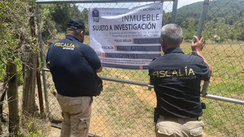 En Pátzcuaro, Michoacán aseguran predio talado clandestinamente para cultivo ilegal de aguacate 