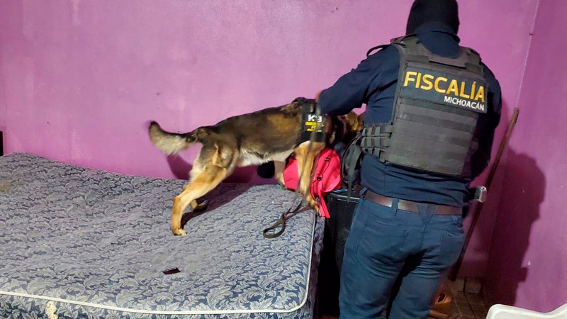Catean bares en Morelia y Tacámbaro, Michoacán; aseguran más de mil 400 dosis de metanfetamina 