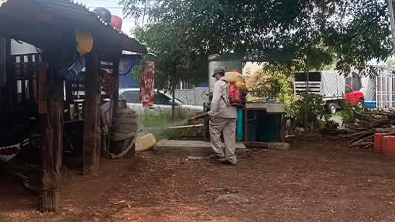 Gobierno Municipal de Los Reyes refuerza acciones contra el dengue 