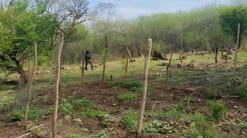 Ultiman a hombre en Carácuaro, Michoacán; menor que lo acompañaba está desparecido 