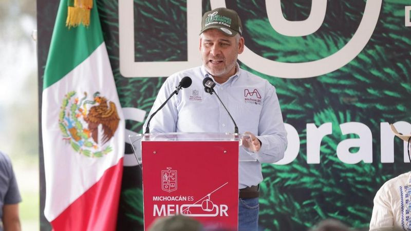 Por aire se lanzarán semillas para reforestar 50 mil hectáreas de bosques en Michoacán: Bedolla  