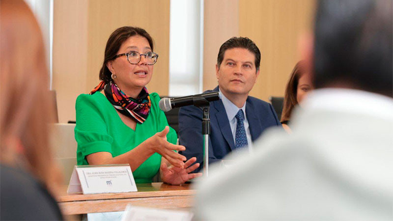 Alfonso Martínez, amigo de la causa migrante: Senadora por Illinois, Karina Villa  