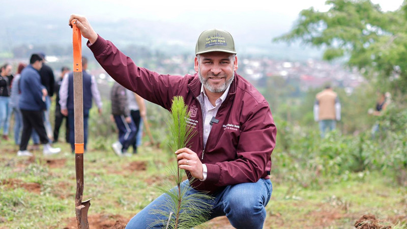 Michoacán impulsa reforestación histórica para recuperar el lago de Pátzcuaro: Bedolla 