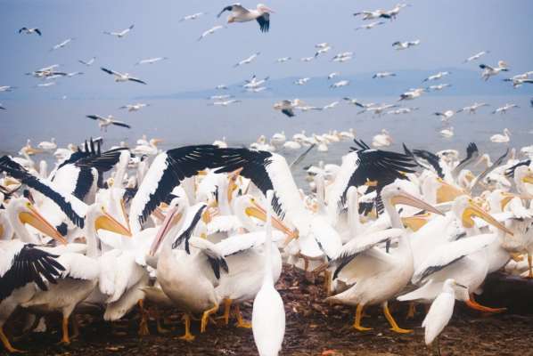 Michoacán ofrece atractivos naturales para pasar el fin de año - Foto 2 