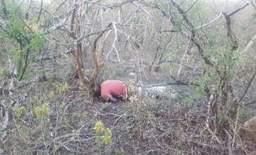 En predio baldío de Zamora, Michoacán, localizan el cadáver de un hombre 