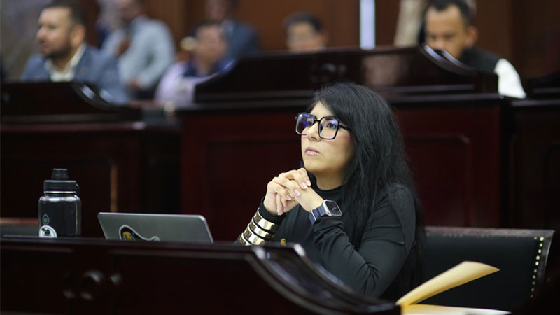 Propone Vanhe Caratachea llevar educación ambiental forestal a las aulas de Michoacán 