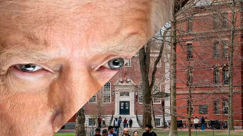 Suspende jueza federal por tiempo indefinido medidas de Donald Trump contra Harvard 