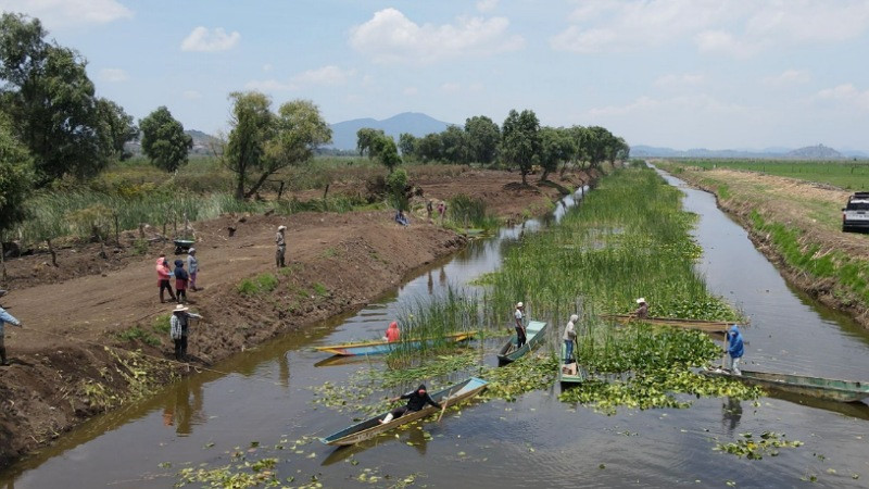 Rescate del canal de Erongarícuaro revitaliza ecosistema y economía local: Compesca 