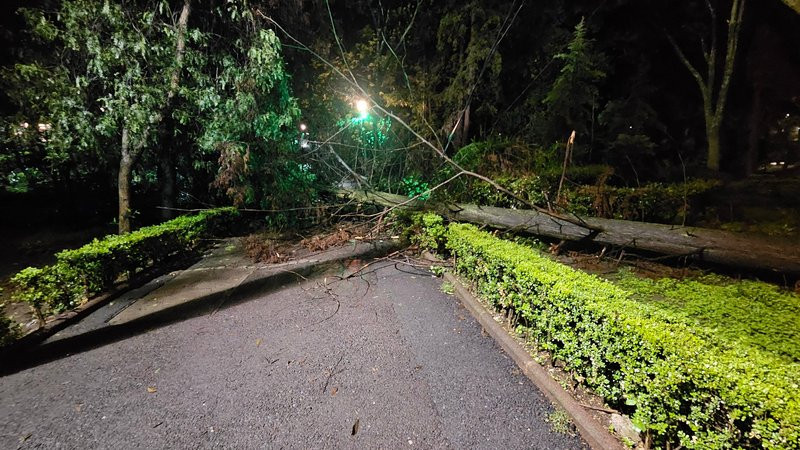 Fuertes lluvias provocan inundaciones y afectaciones en la Ciudad de México 
