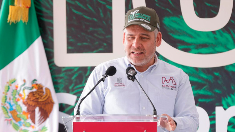 En julio inicia dispersión aérea de 200 mil semillas para reforestar: Bedolla 