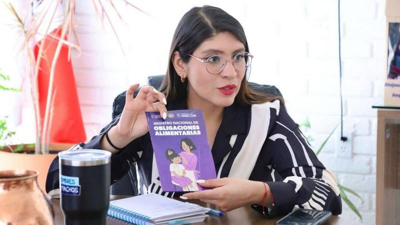 ¡Atención Villas del Pedregal! Hoy Seimujer te guía para registrar deudores alimentarios 