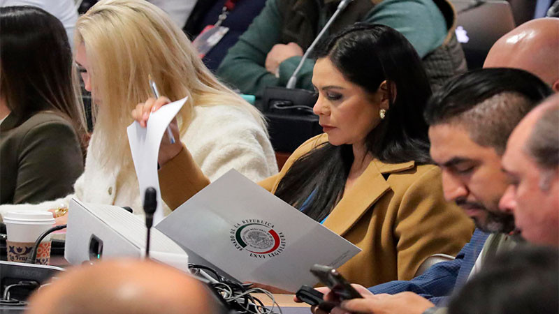 Avanza en comisiones reforma para fortalecer la búsqueda de personas desaparecidas: Araceli Saucedo 
