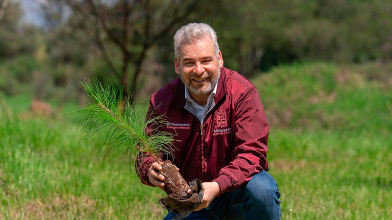 Viveros del estado con producción histórica de plantas para reforestar: Bedolla 