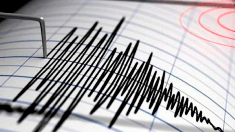 Esta madrugada sismos activan alertas en cuatro estado del país 