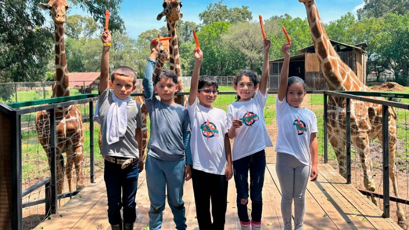 Disfruta un verano de aventura en el Zoológico de Morelia 