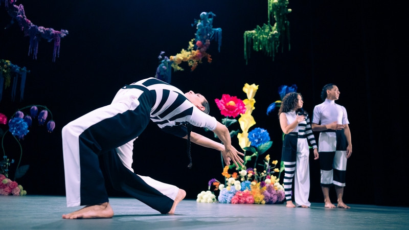 Llega al Museo de la Ciudad de Querétaro la propuesta de danza contemporánea Parajes 