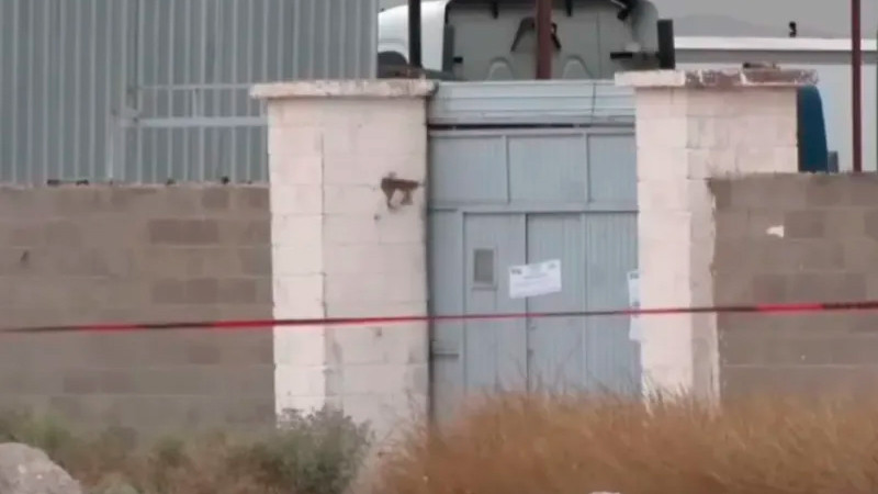Localizan casi 400 cuerpos hacinados en inmueble de Ciudad Juárez 