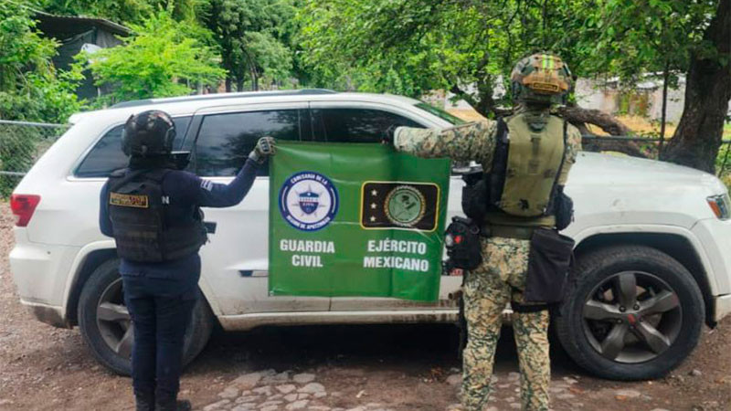 Aseguran en distintos hechos, fusiles, vehículos y sustancias ilícitas en la Tierra Caliente de Michoacán; hay un detenido 