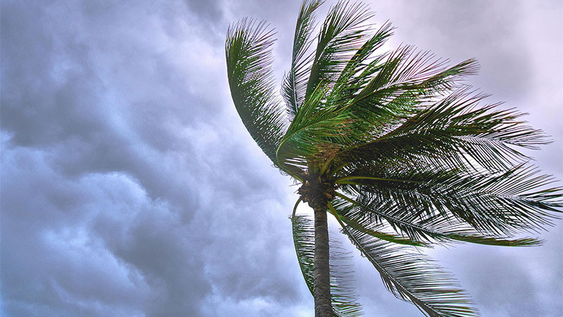 La tormenta tropical “Flossie” podría impactar como huracán en la costa de Lázaro Cárdenas, temen perder turismo 