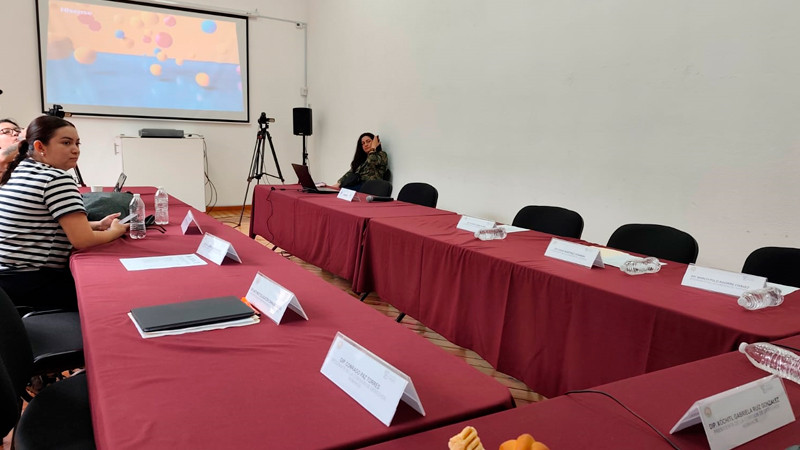 Elección de la CEDH en Michoacán: Entre críticas por acuerdos políticos y ausencias legislativas 
