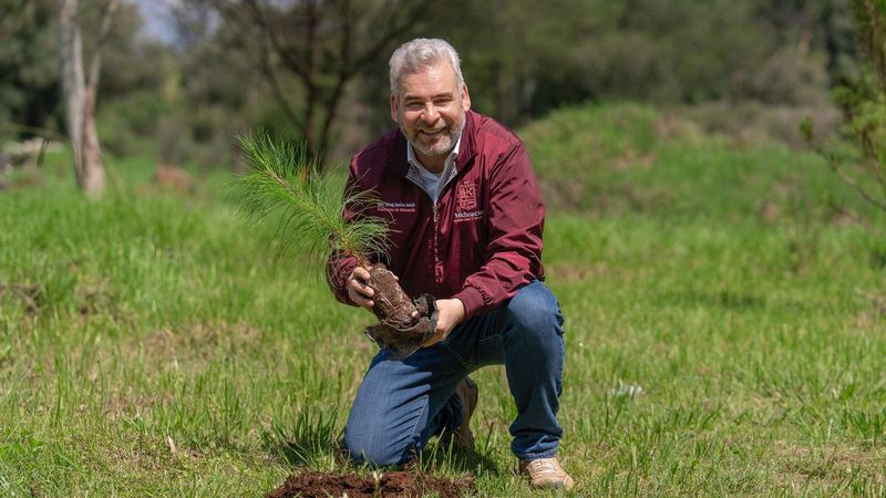 Para cuencas de ríos y lagos, 4 de cada 10 árboles plantados: Bedolla 