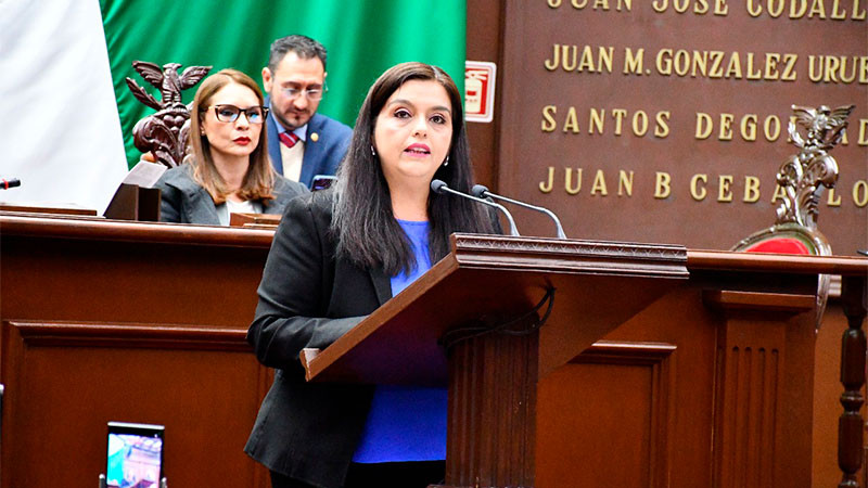 Propone diputada Tere Herrera visibilizar en la ley los tipos de violencia contra niñas, niños y adolescentes 