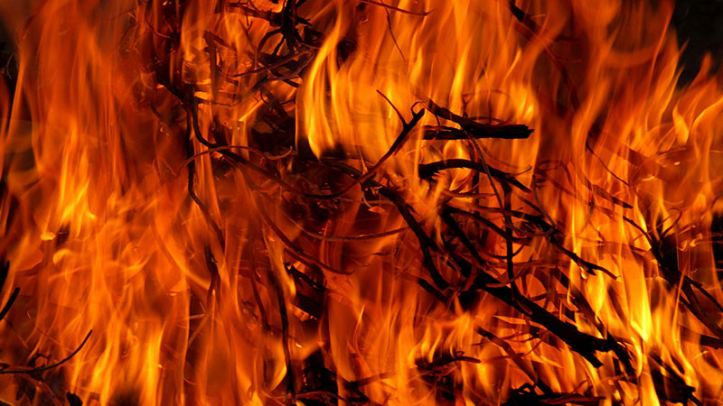 Más de 17 mil hectáreas consumidas por incendio forestal en Tecate, Baja California  