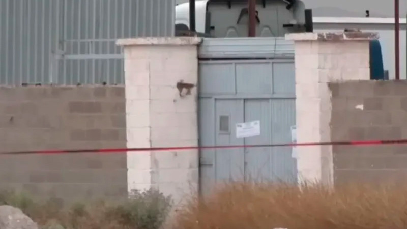 Ya se atiende hallazgo de 383 cuerpos en crematorio de Ciudad Juárez: Claudia Sheinbaum 