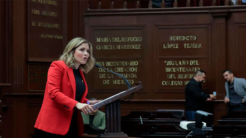 Diputada Brissa Arroyo plantea reconocer el tipo de violencia feminicida en la Ley 